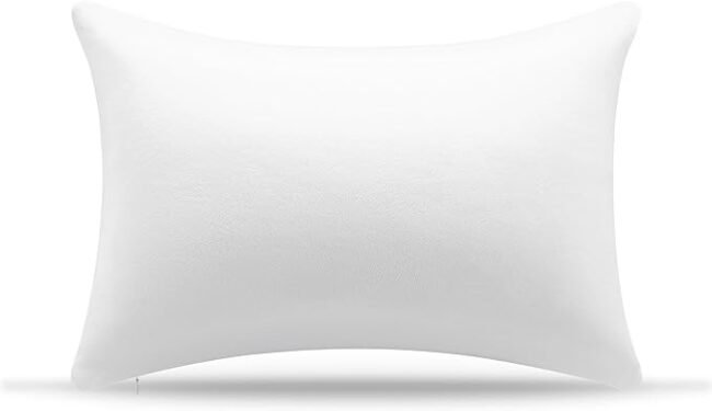 AM AEROMAX 12 × 20 Pillow Insert Memory Foam Lumbar Support Throw Pillow