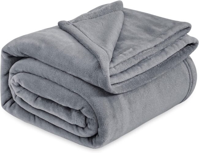 Bedsure Fleece Bed Blankets Queen Size Grey - Soft Lightweight Plush Fuzzy Cozy Luxury Blanket Microfiber,